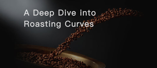 Mastering the Art of Coffee Roasting: A Deep Dive into Roasting Curves